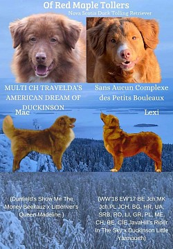 Lexi & Mac Novembre 2023