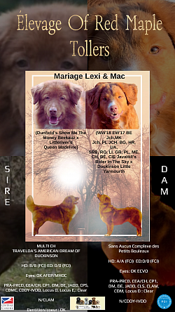 Mariage Lexi & Mac 2025