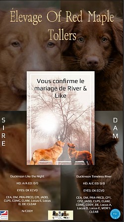 River & Like Janvier 2025